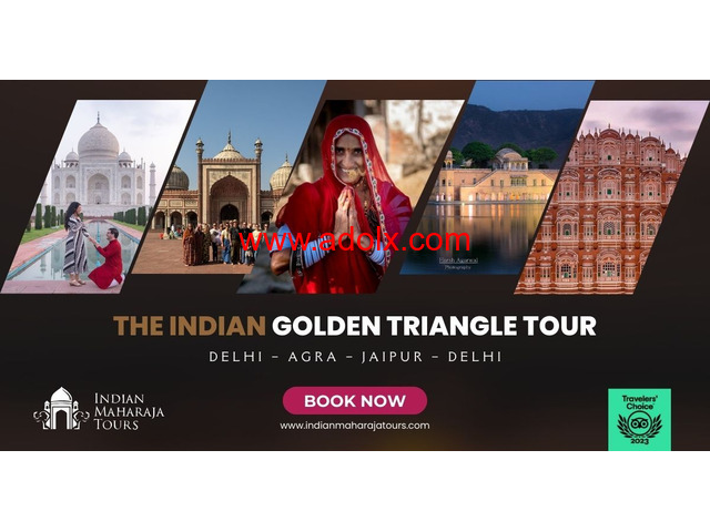 Luxurious Golden Triangle Tour: A Guide to the Best Packages.