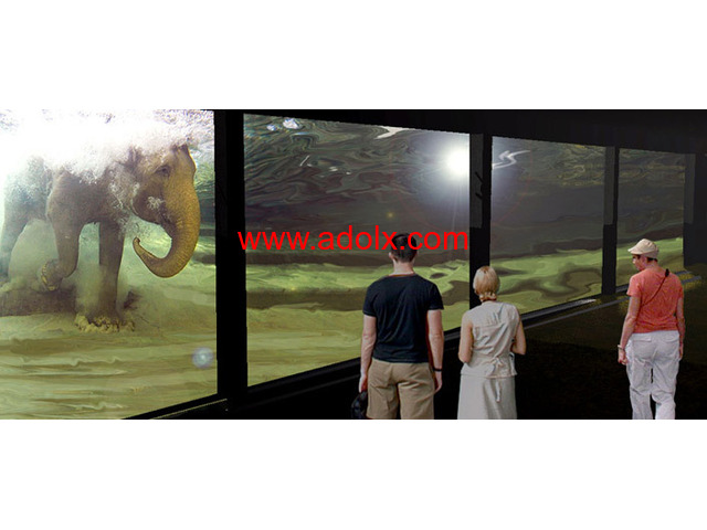 Zoo Design and Management Consulting Services