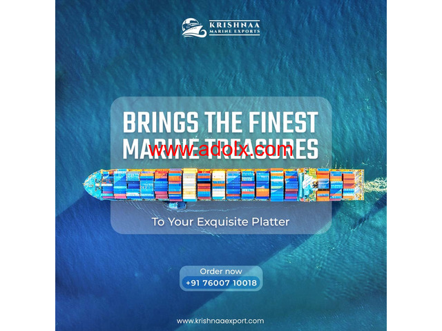 Premium Dry Fish and Seafood Exporter - Krishnaa Exports