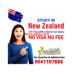 STUDY IN NEW ZEALAND -NO VISA NO FEE