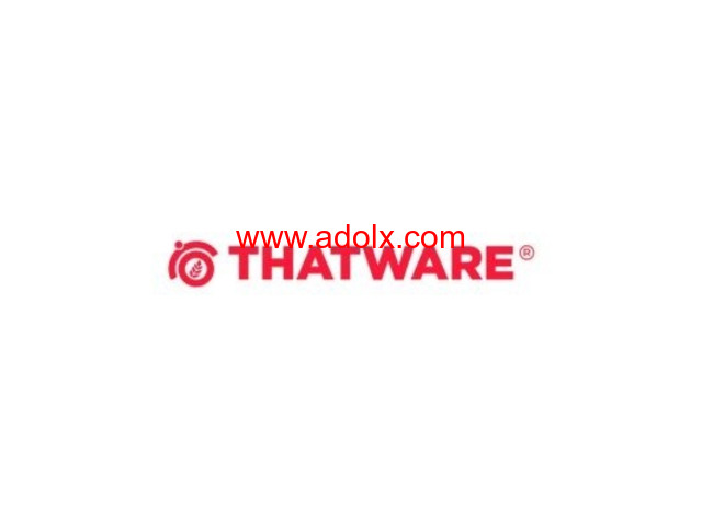 Boost Your Brand with THATWARE LLP: Leading SEO Agency in Australia