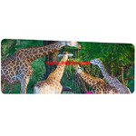 International Animal Exchange Services in Thailand