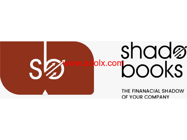 Financial Reporting Software