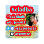Supply low price 5cladba fast delivery
