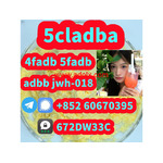 Supply low price 5cladba fast delivery