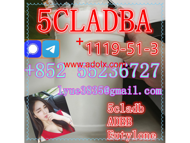 Buy 1119-51-3 +Precursor 5cladba