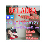 Buy 1119-51-3 +Precursor 5cladba