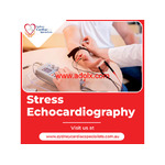 Sydney Cardiac Specialists - paediatric cardiologist | best cardiologist Sydney