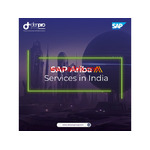 SAP Ariba Services in India from Denpro Group