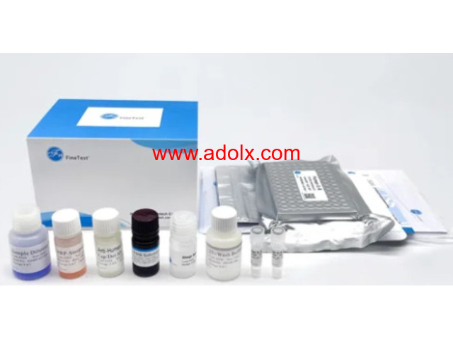 Flow Cytometry Solutions For Research Excellence- Xlbiotec