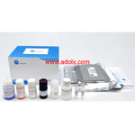 Flow Cytometry Solutions For Research Excellence- Xlbiotec