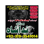 Rohani Amliyat specialist ( BAngali Amil Baba in Islamabad) Black Magic Uk