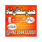 100% trusted kala jadu expert in saudi arabia, amil baba