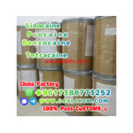 Lidocaine Benzocaine Procaine raw Powder 137-58-6 Factory Direct