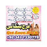 authentic amil baba in islamabad world famous astrologer in pakistan kala jadu expert in karachi