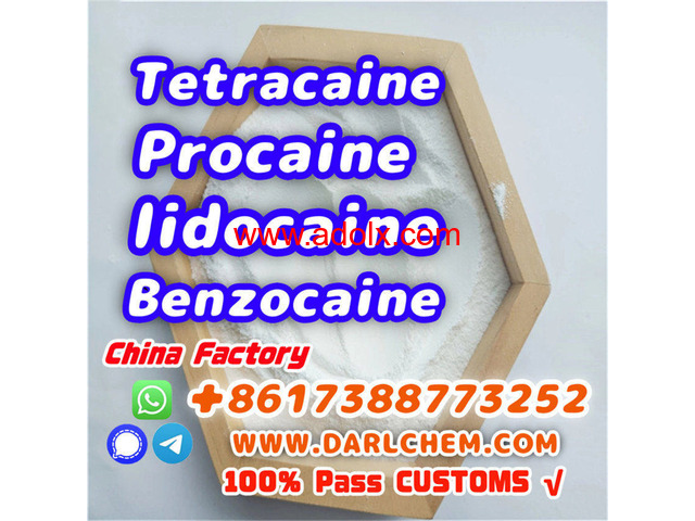 Lidocaine Benzocaine Procaine raw Powder 137-58-6 darl Supply