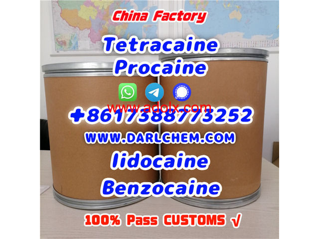 Lidocaine Benzocaine Procaine raw Powder 137-58-6 Low price