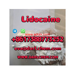 100% Pure Lidocaine base hcl crystals powder 137-58-6 Safe Delivery Best Price