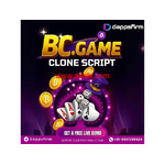 Upgrade Your Gaming Venture Using Advanced BC.Game Clone Software