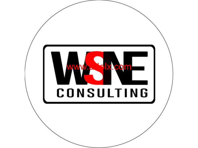 "Find the Right Job with WSNE Consulting – Expert Placement Services"