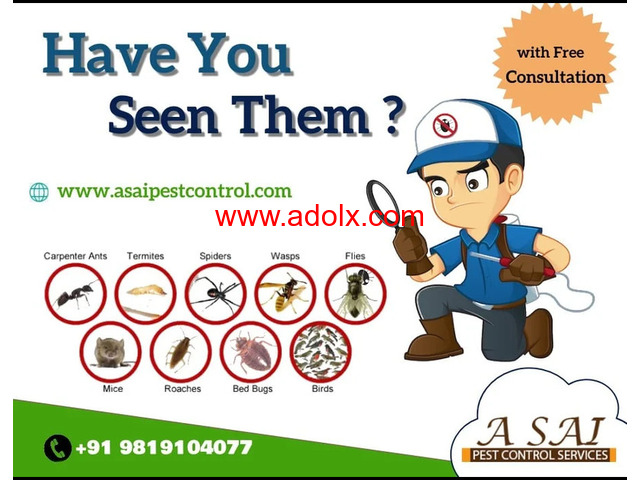 Pest Control Services Near Me - A SAI PEST CONTROL