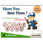 Pest Control Services Near Me - A SAI PEST CONTROL