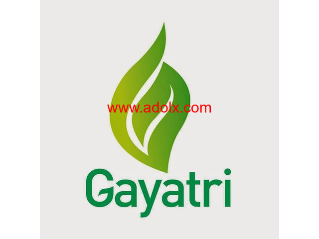 Gayatri Psyllium Industries - Psyllium Husk powder manufacturers in India