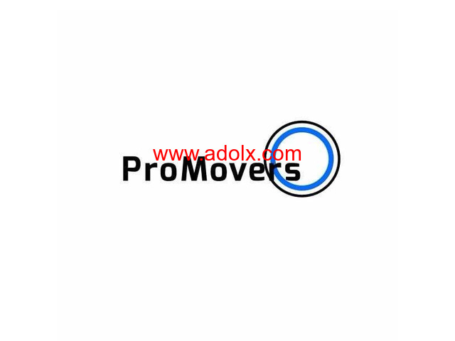 Pro Movers Miami