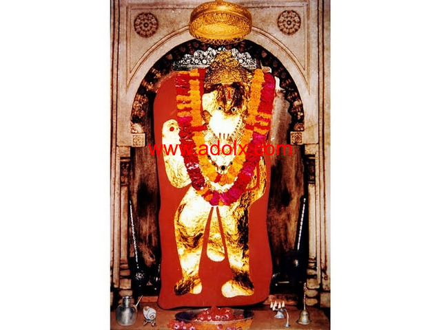 Black Magic Astrologer in Texas California +91-9056562757 Famous Indian Vedic Astrology