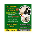 Indian Healer IN Canada +91 92422 20786 Whatever Your Problem, Call Me in Toronto