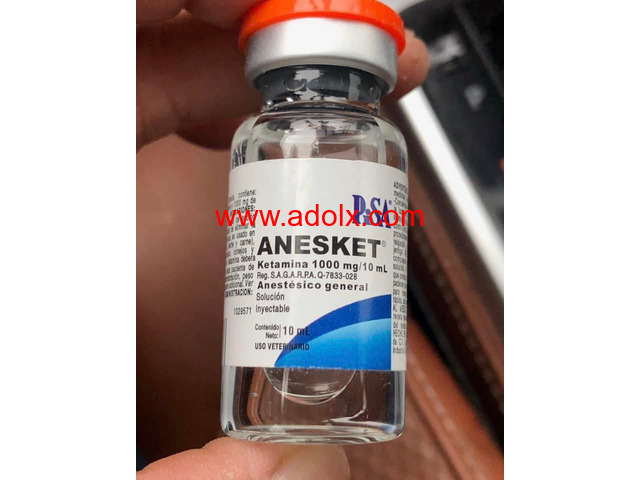 OXYCOTIN 80MG, XANAX 2MG