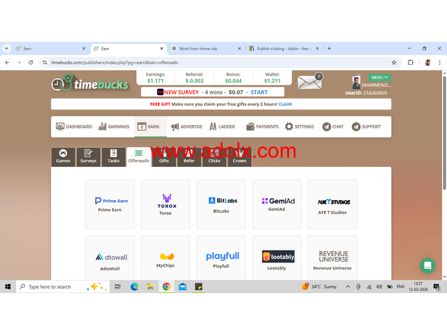 Part-Time Online Job – Get Paid for Surveys, Videos & Simple Tasks